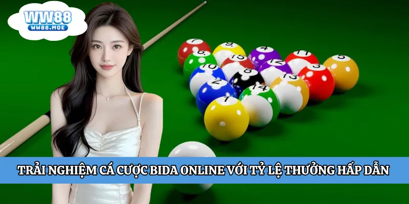 Cá cược bida online