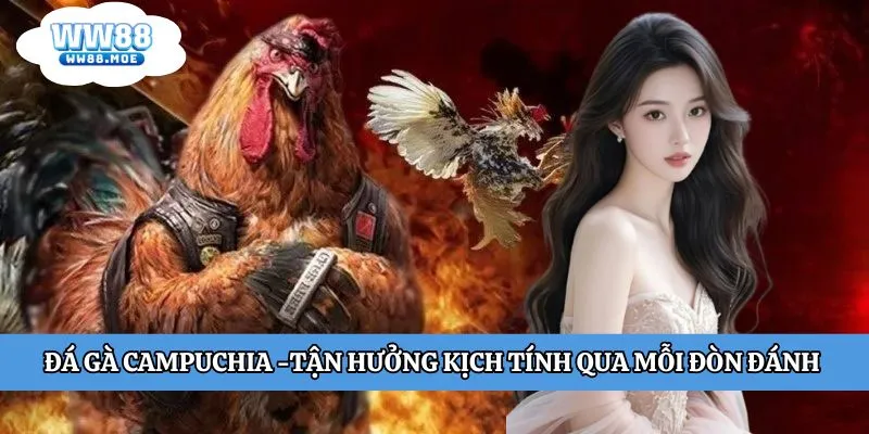 Đá gà Campuchia