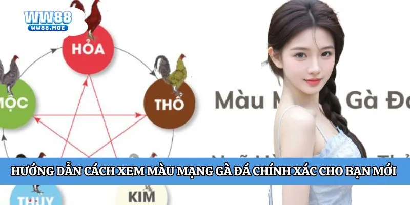 Màu mạng gà đá