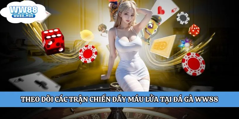Theo dõi các trận chiến đầy máu lửa tại đá gà WW88